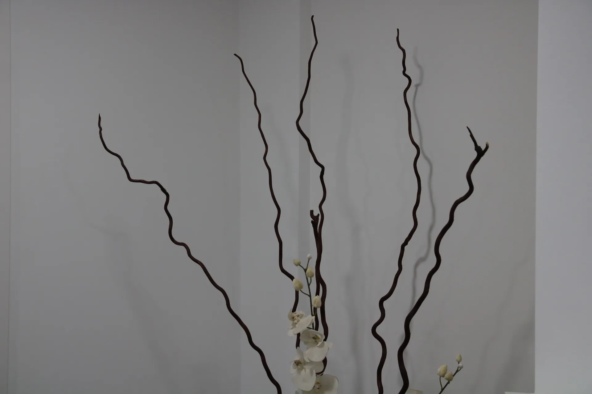 Exploración dental para diagnóstico de sensibilidad en PerioMax Alicante